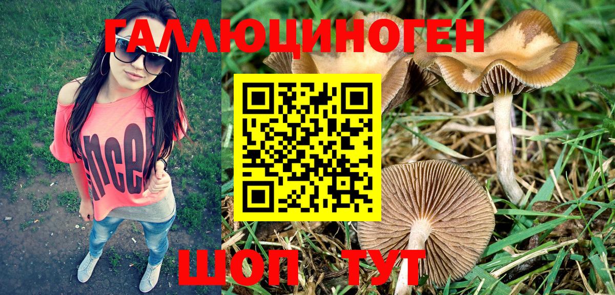 Псилоцибиновые грибы прущие грибы Кулебаки