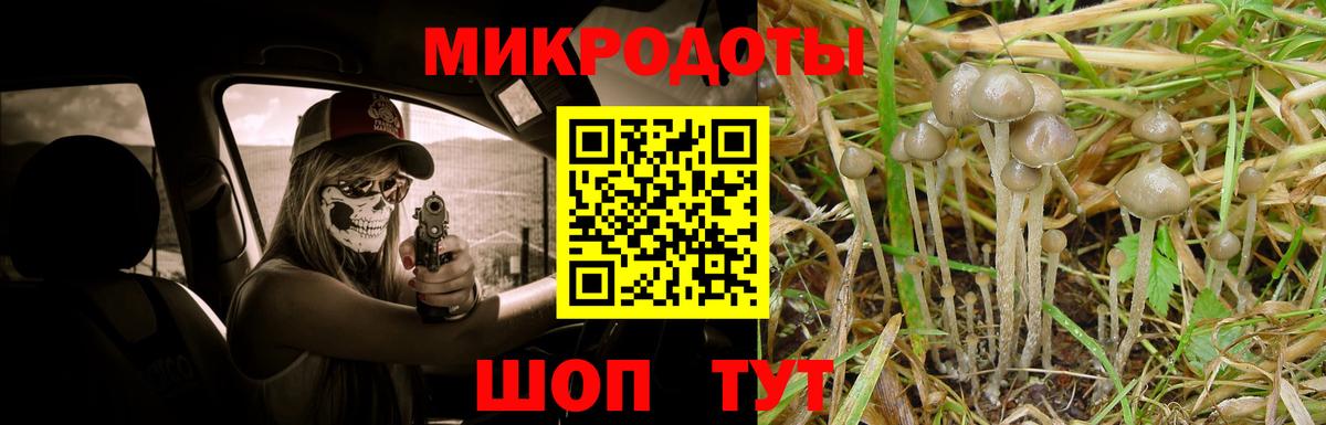 Псилоцибиновые грибы мицелий  Вход с VPN  Кулебаки 